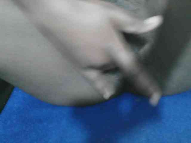 Petitelv