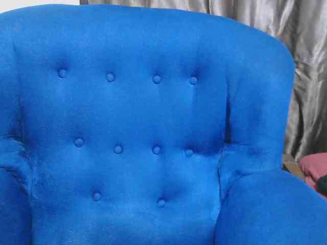 Petitelv webcam