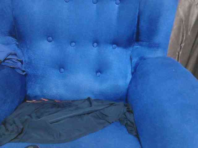 Petitelv webcam
