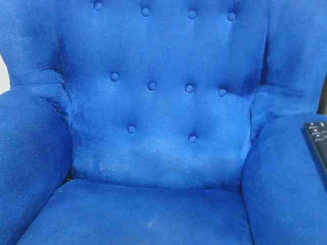 Petitelv webcam