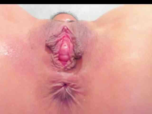 sacha09-L webcam