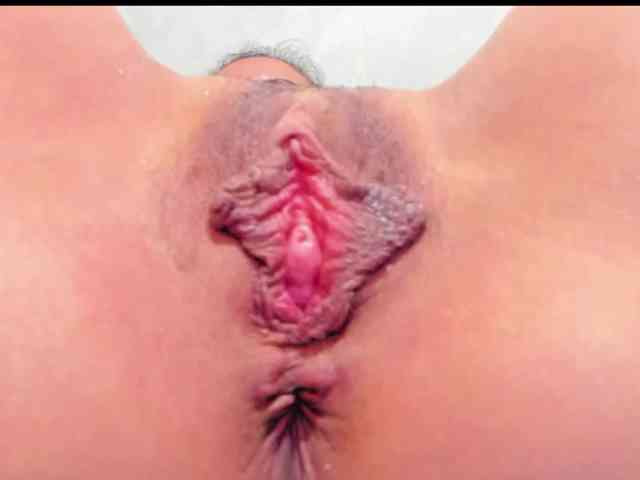 sacha09-L webcam