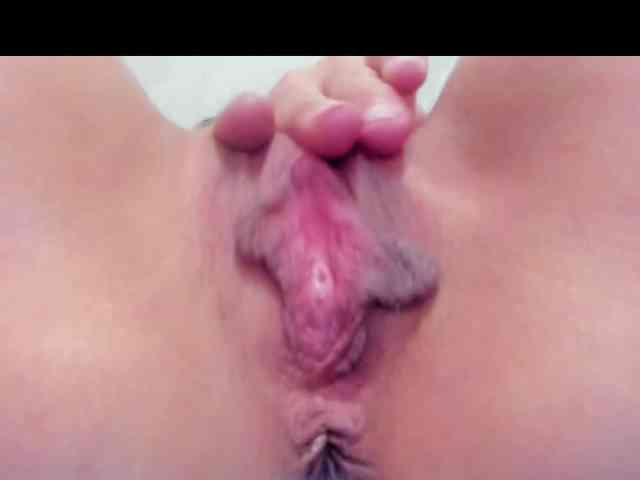 sacha09-L webcam