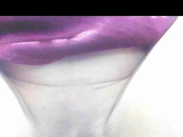 sacha09-L webcam