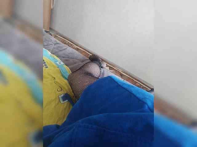 Sexi2933