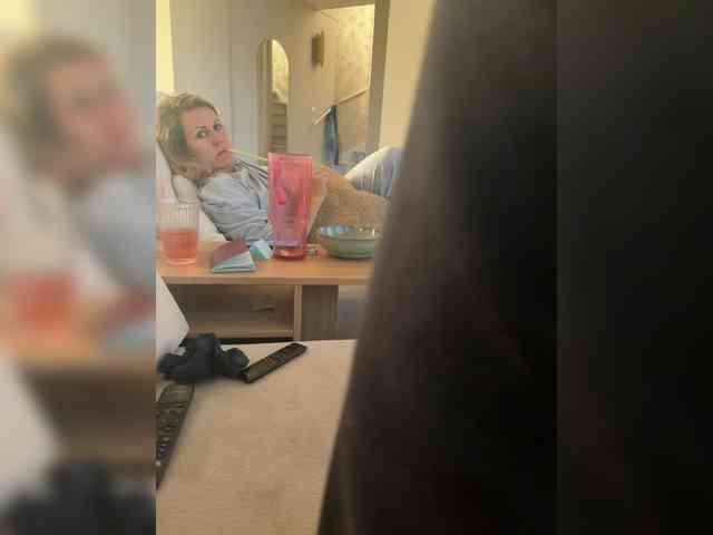Stelliew webcam