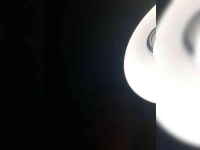 ZDYN webcam