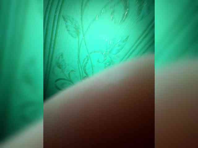 ZDYN webcam