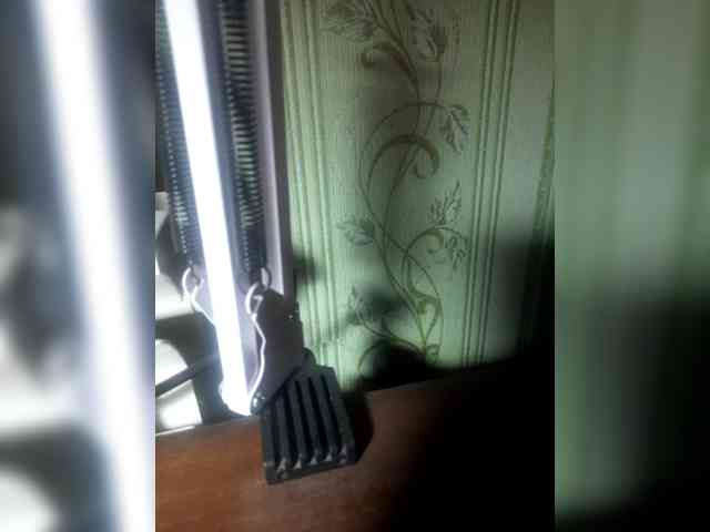 ZDYN webcam