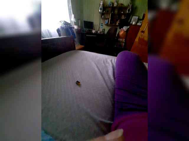 ZDYN webcam