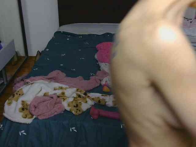 CarluyMessy webcam