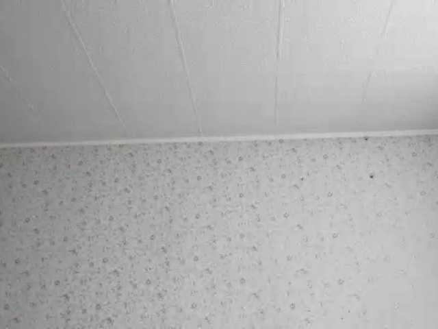 LeanaLomino live cam on BongaCams