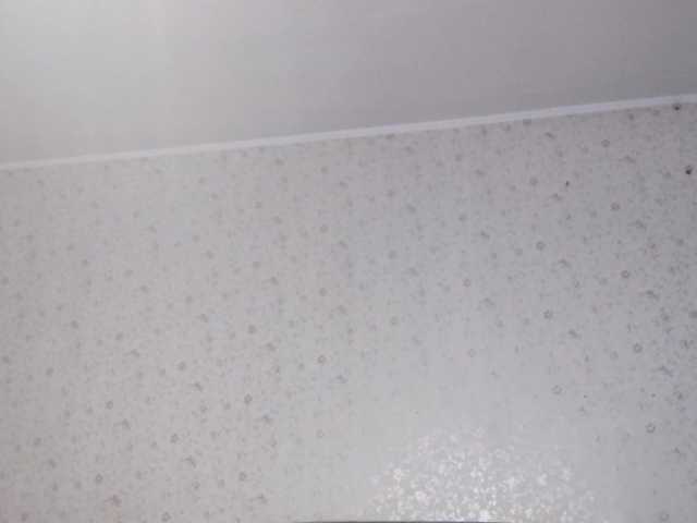 LeanaLomino live cam on BongaCams
