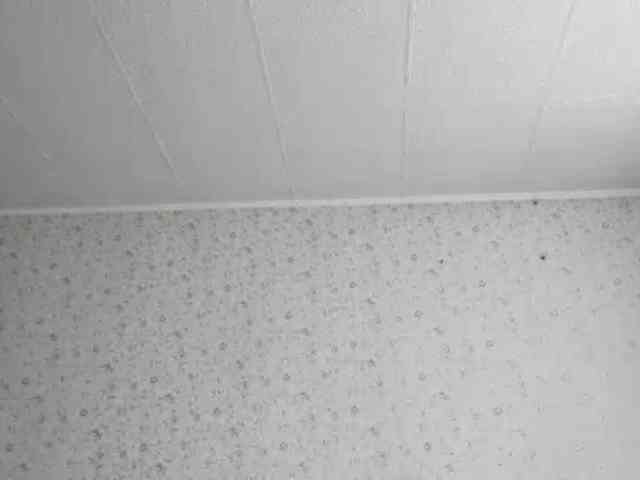 LeanaLomino webcam