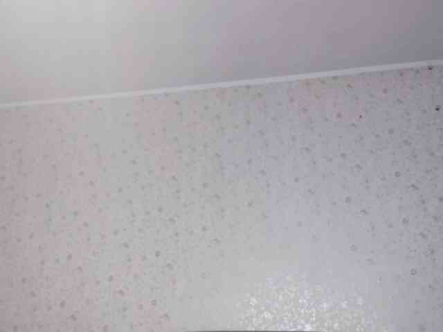LeanaLomino webcam