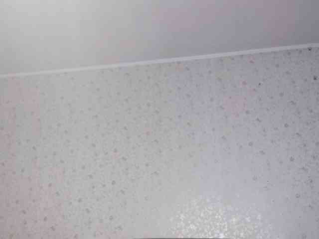 LeanaLomino webcam