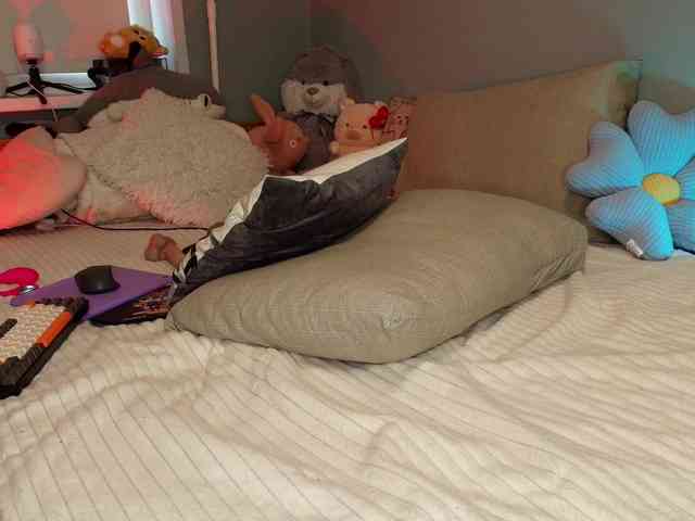 Rabbitshole webcam
