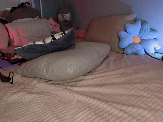 Rabbitshole webcam