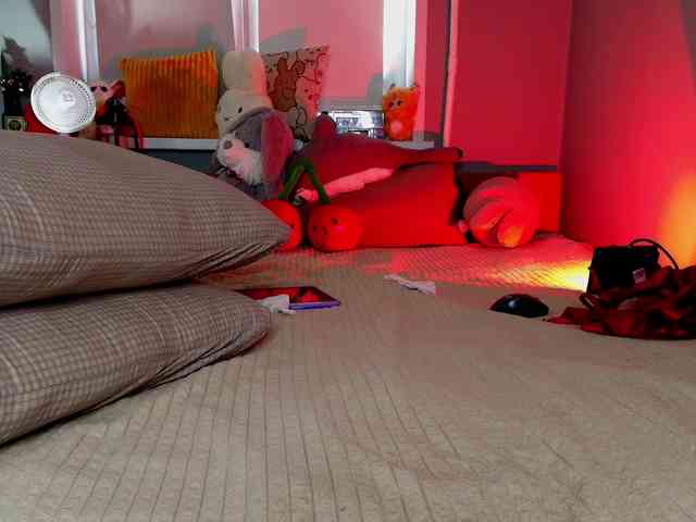 Rabbitshole webcam
