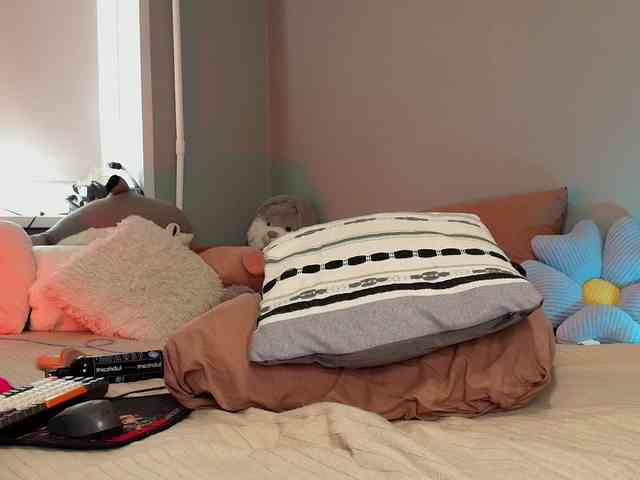 Rabbitshole webcam