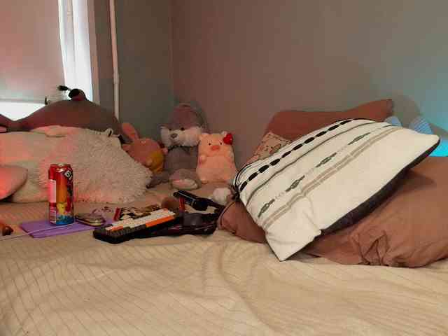 Rabbitshole webcam