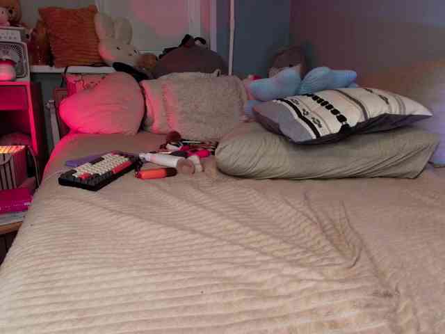 Rabbitshole webcam