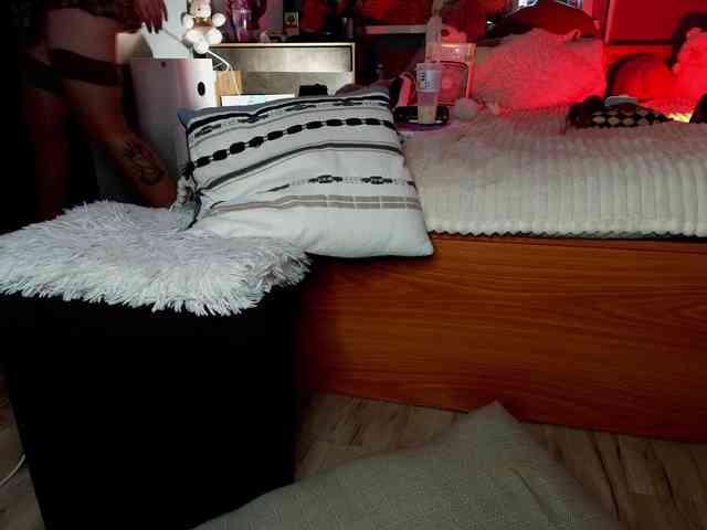 Rabbitshole webcam