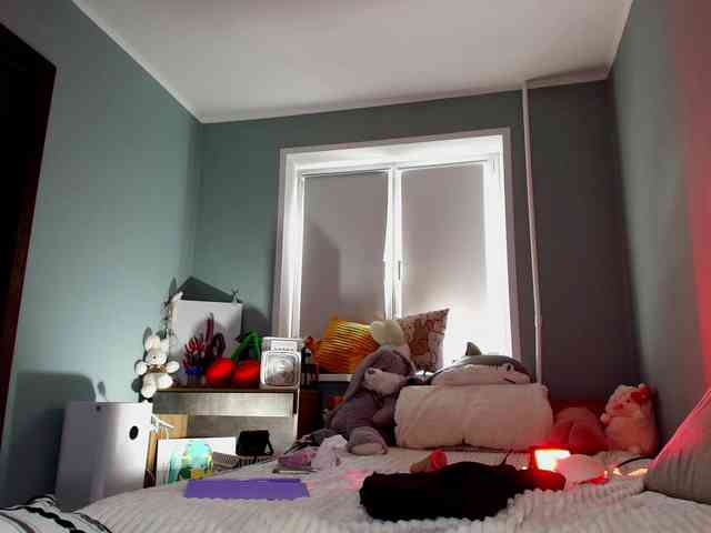Rabbitshole webcam