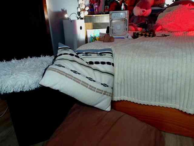 Rabbitshole webcam