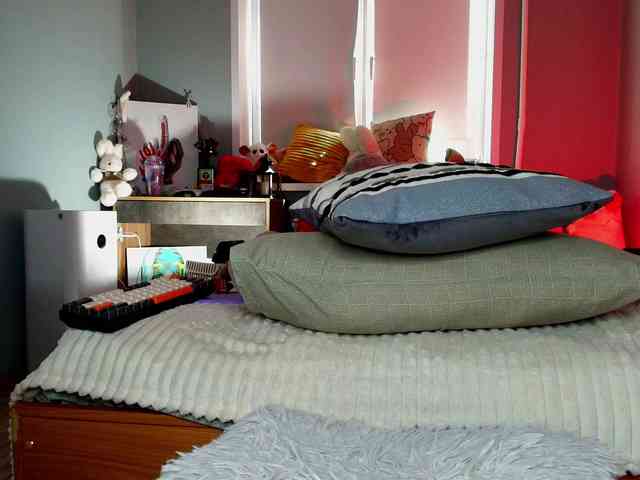 Rabbitshole webcam