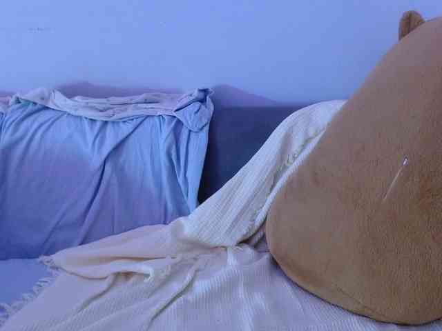 Bora2025 webcam