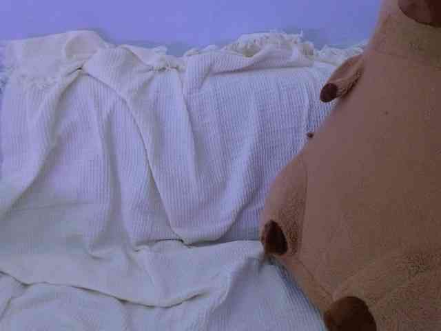 Bora2025 webcam