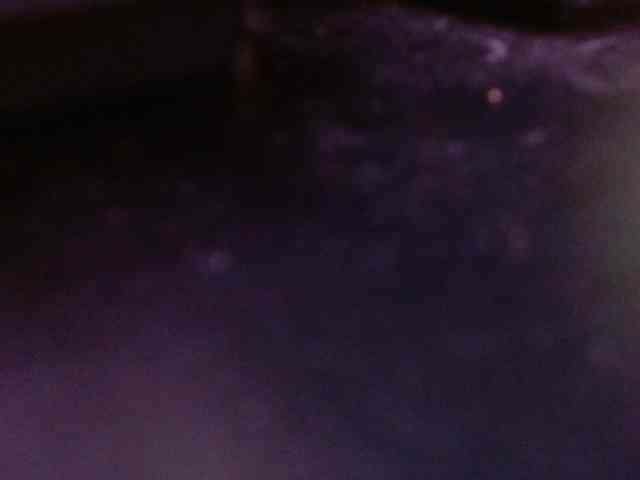 Bora2025 webcam
