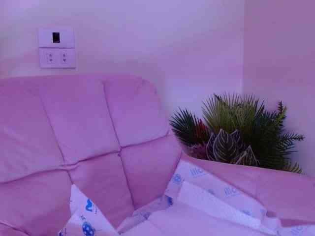 Bora2025 webcam