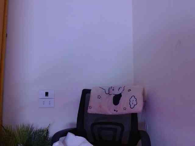 Bora2025 webcam