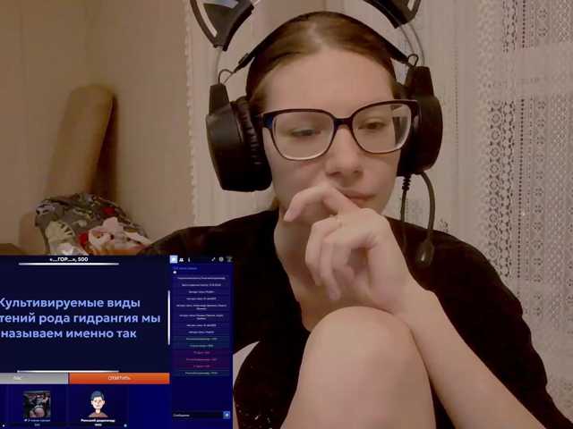 KittyMiracle