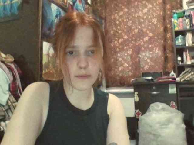 x-fraze webcam