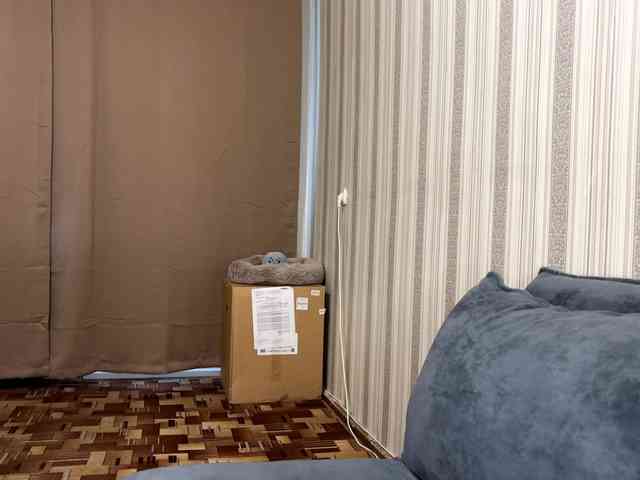 CameliaHovermale webcam