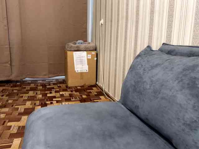 CameliaHovermale webcam