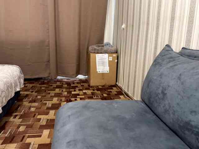 CameliaHovermale webcam
