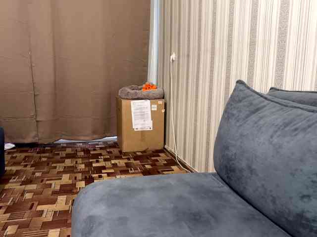 CameliaHovermale webcam