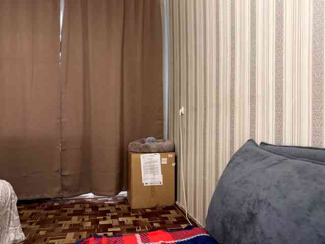 CameliaHovermale webcam