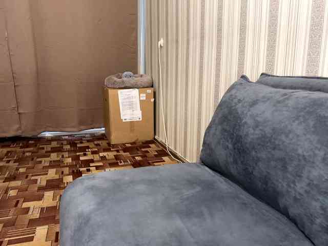 CameliaHovermale webcam