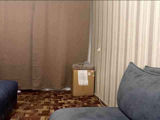 CameliaHovermale webcam