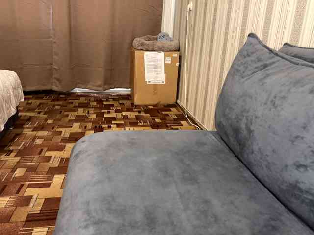 CameliaHovermale webcam
