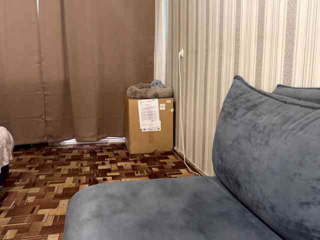CameliaHovermale webcam