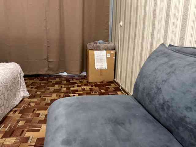 CameliaHovermale webcam