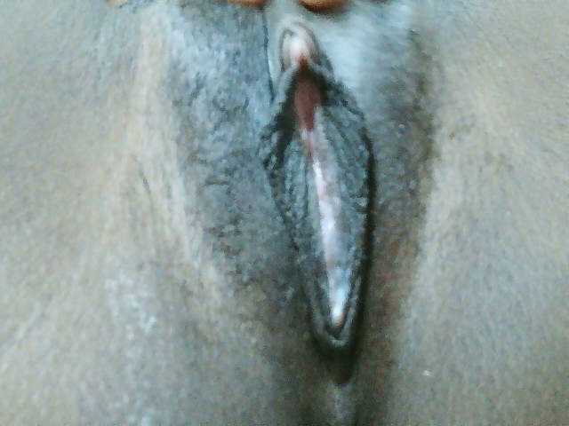 sexy-sarah's BongaCams show and profile