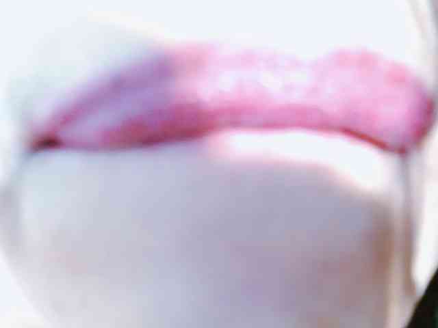 Dahlia_Muse