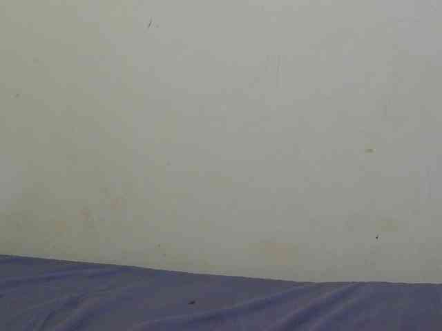 sunny_page webcam